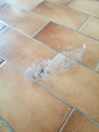 Ce que j’ai retrouvé dans la salle de bain