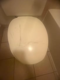 Don’t even know what this is on the toilet seat. This toilet is made for small children, not adults.