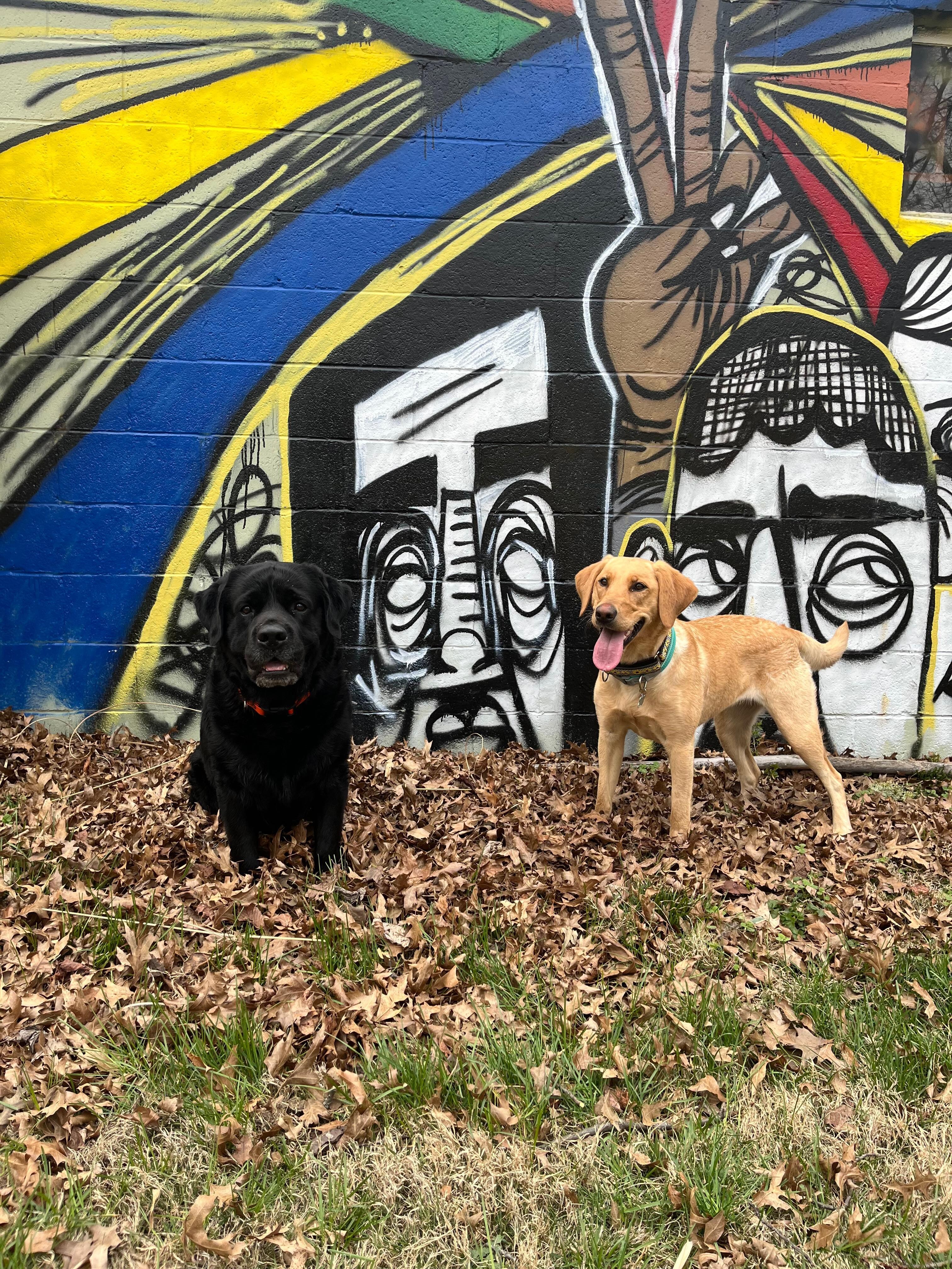 Dogs posing by artwork in yard. 