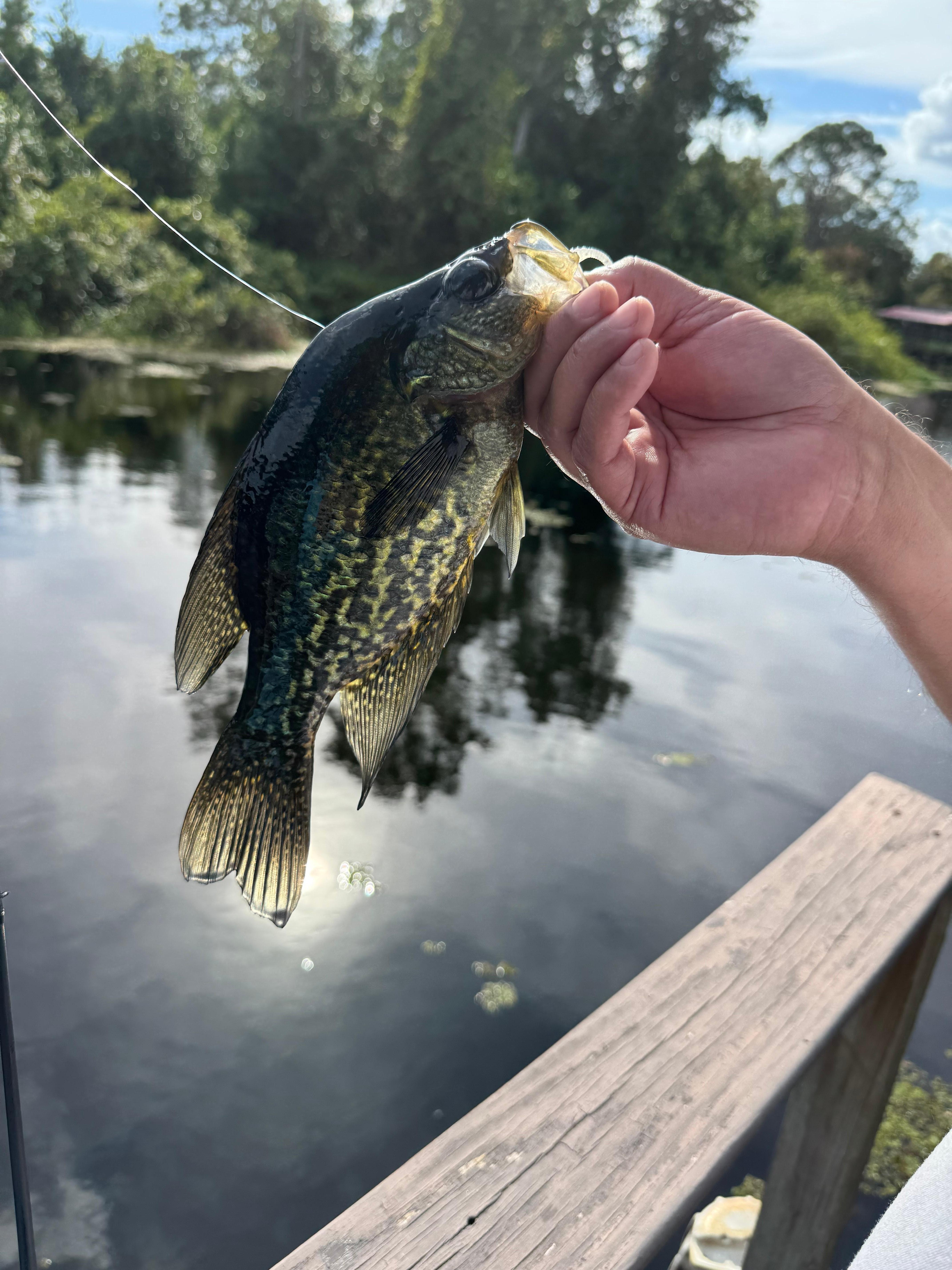 One off the dock 