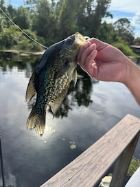 One off the dock