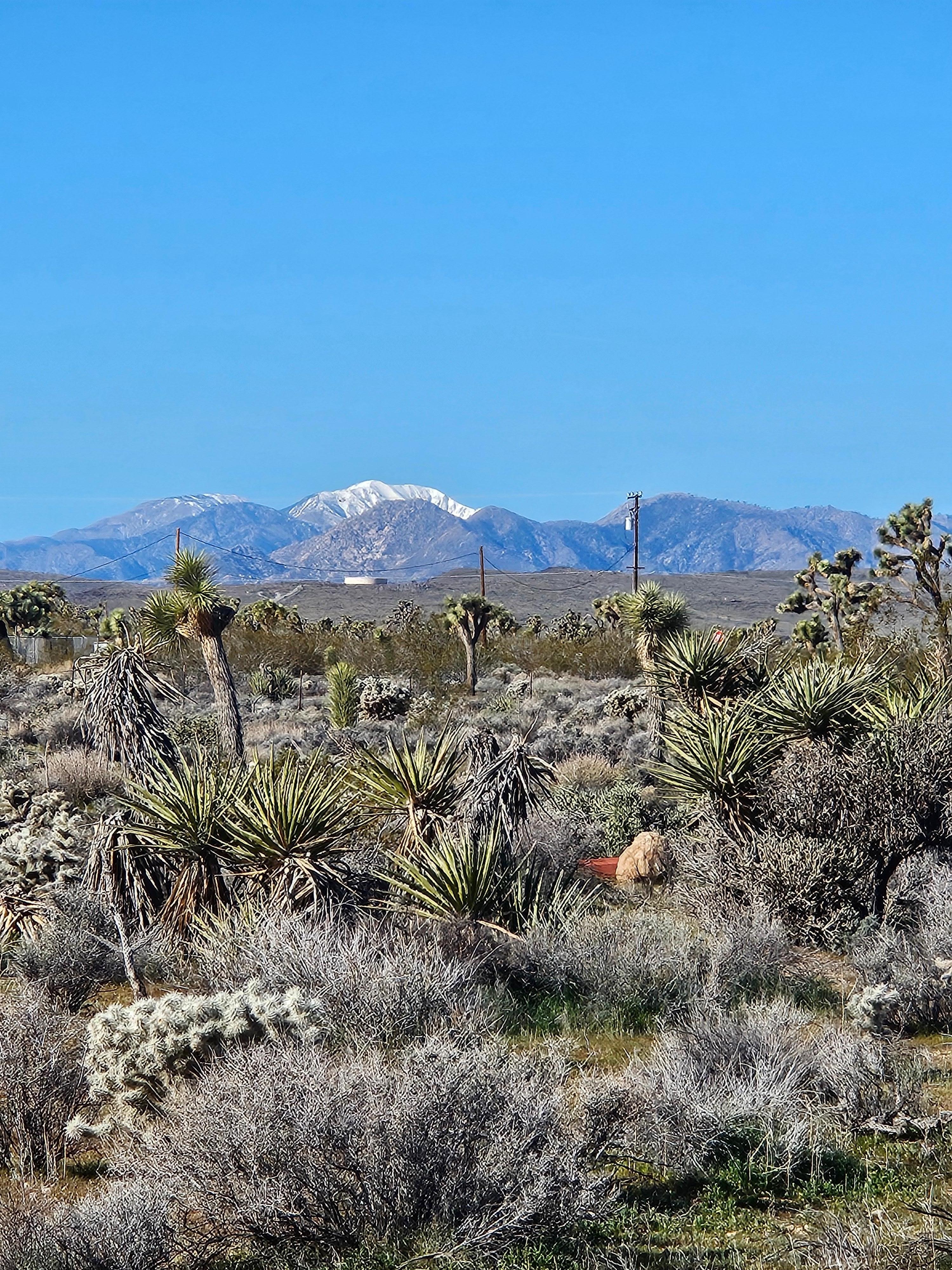 Our view from backyard.