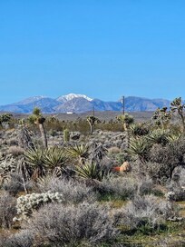 Our view from backyard.