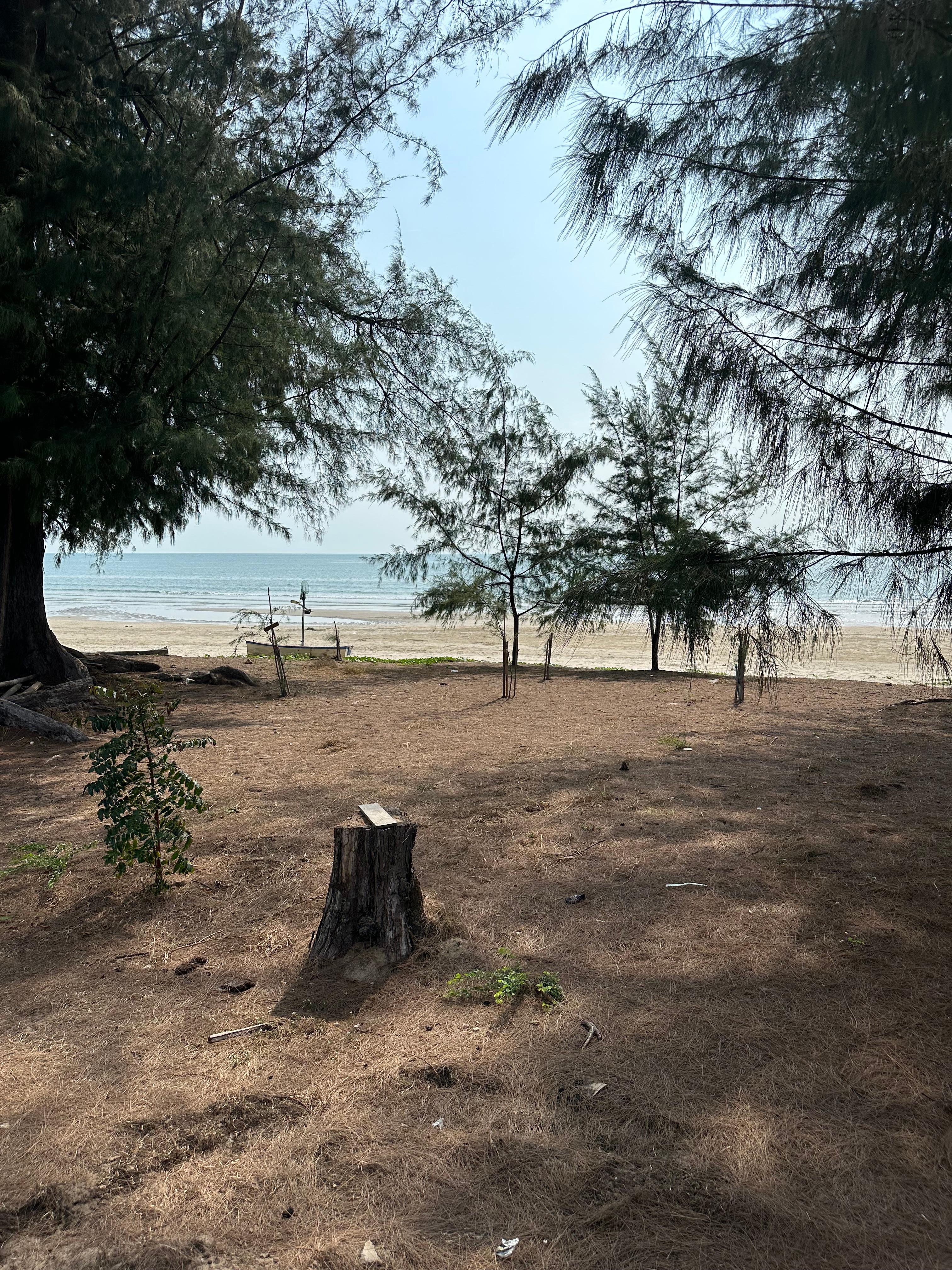 From the balcony onto the beach. Amazing beach and quiet 