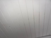Mold on headboards
