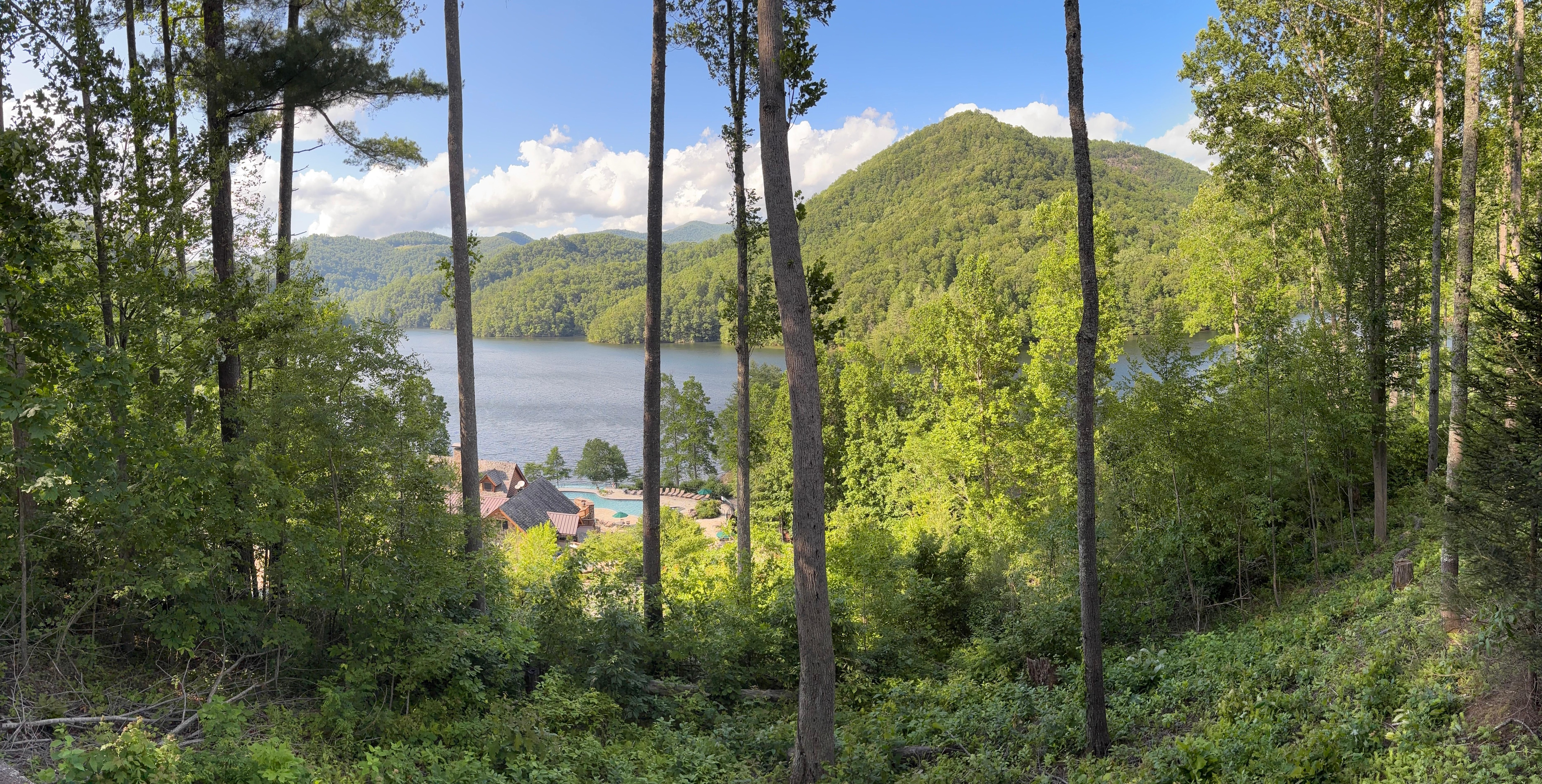 The view from the porch. 