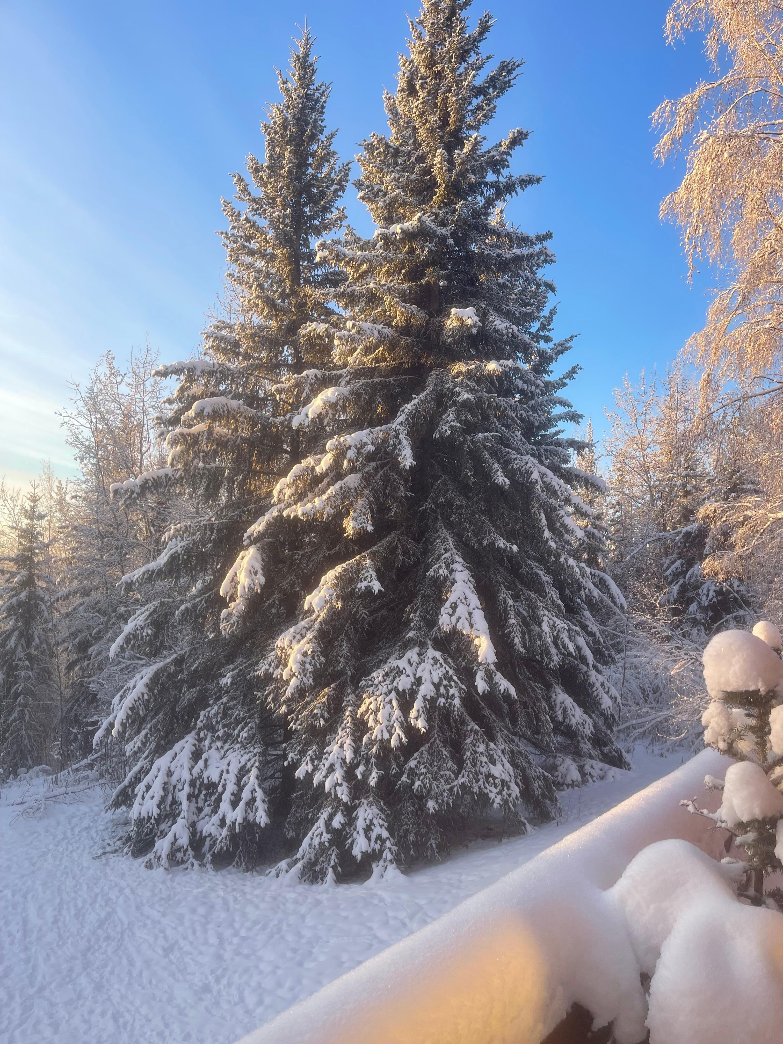 View from the side deck