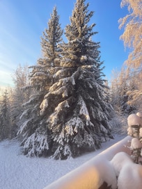 View from the side deck