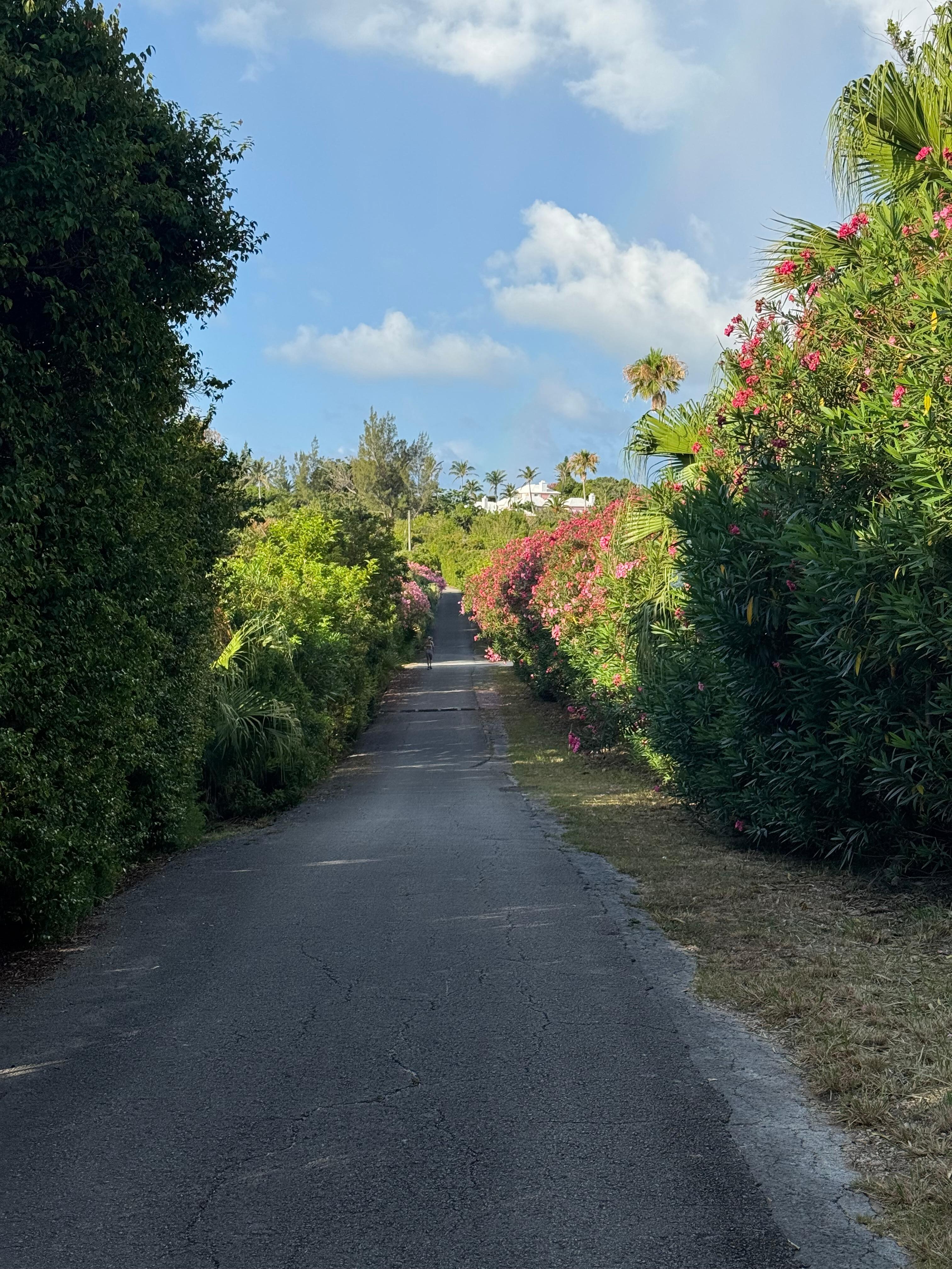 Bike/walking path, access close to cottage.