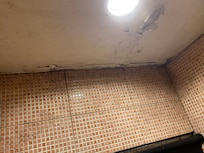 Mold, water damaged building. Health hazard.