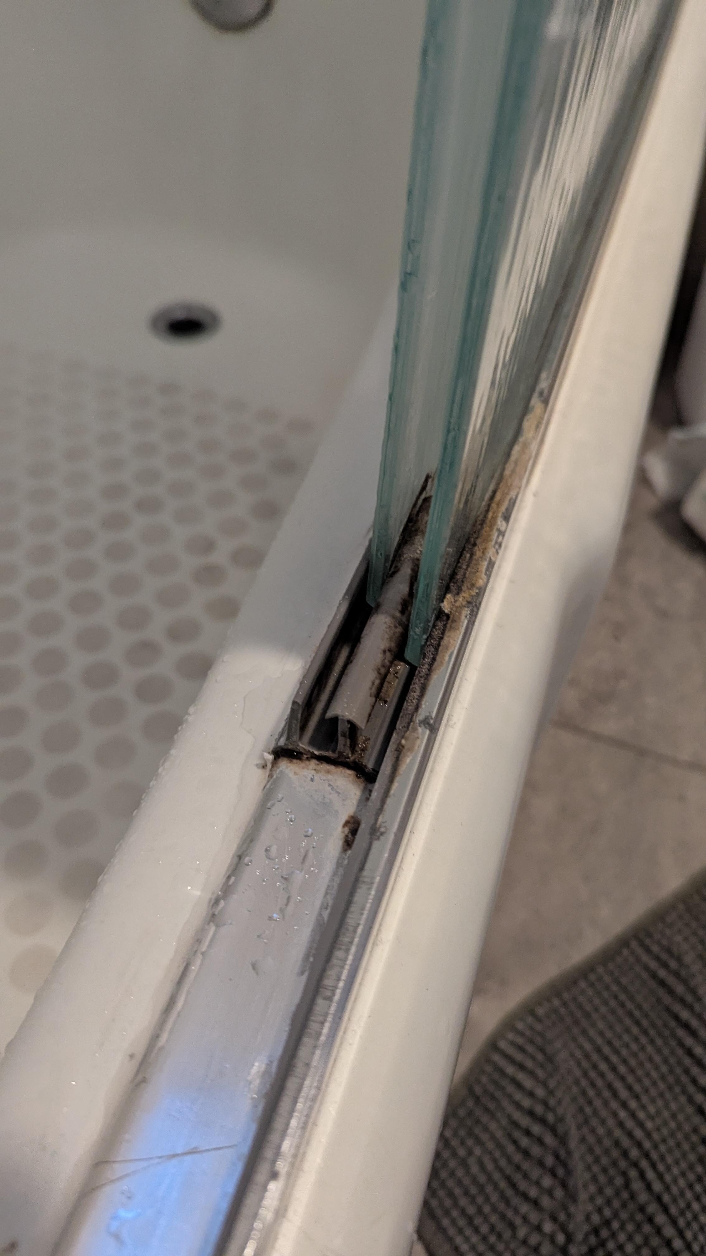 Mold in bathroom