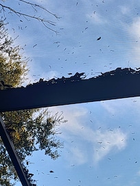 debris on pool cover