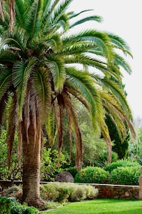 Front garden