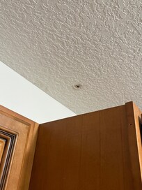Hole in ceiling from water leaks. Had black mold present