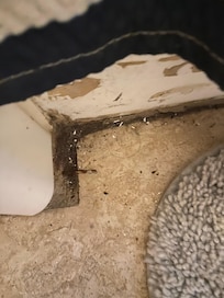 Every corner in the house needs cleaned.