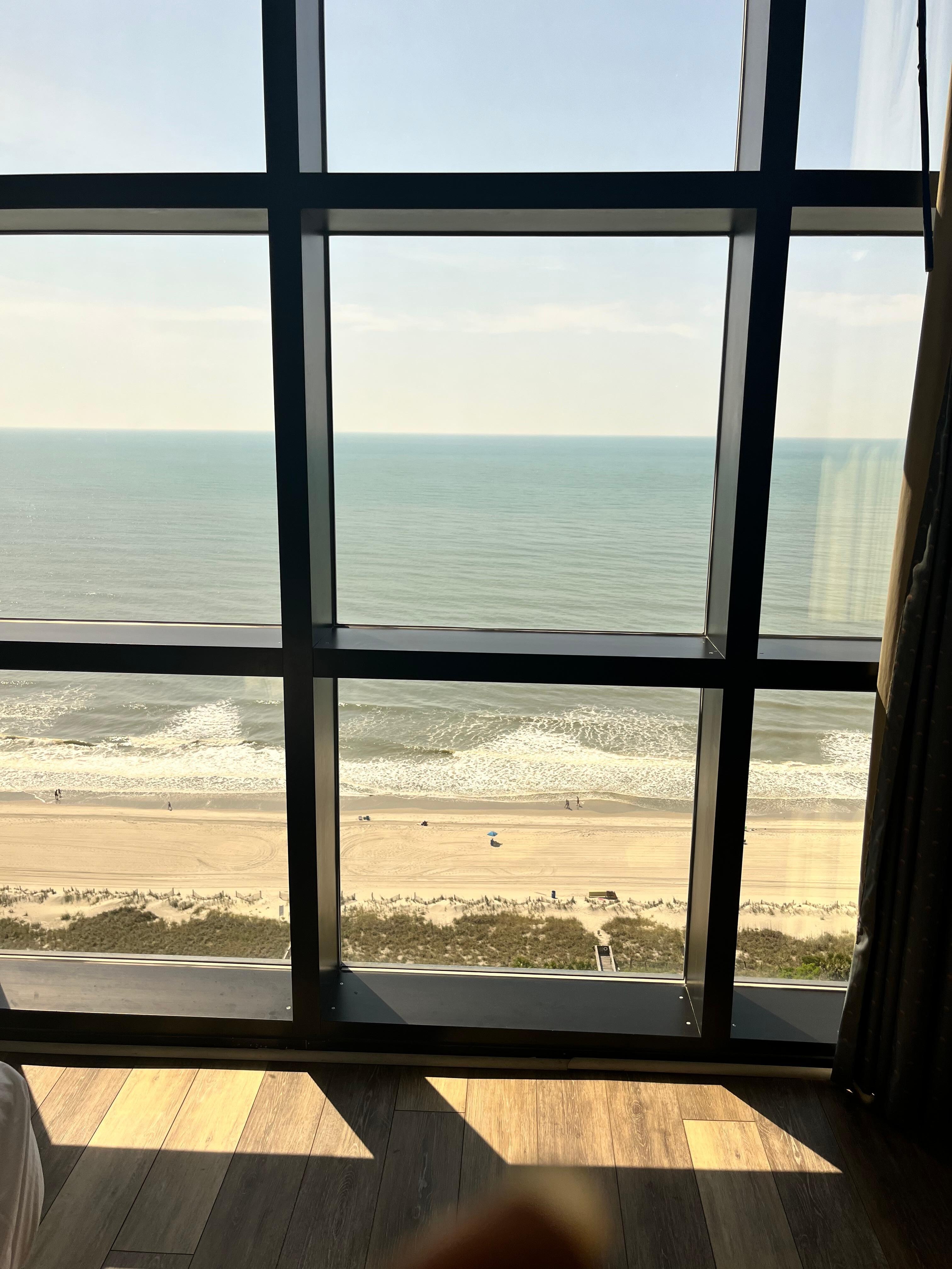 Morning view!