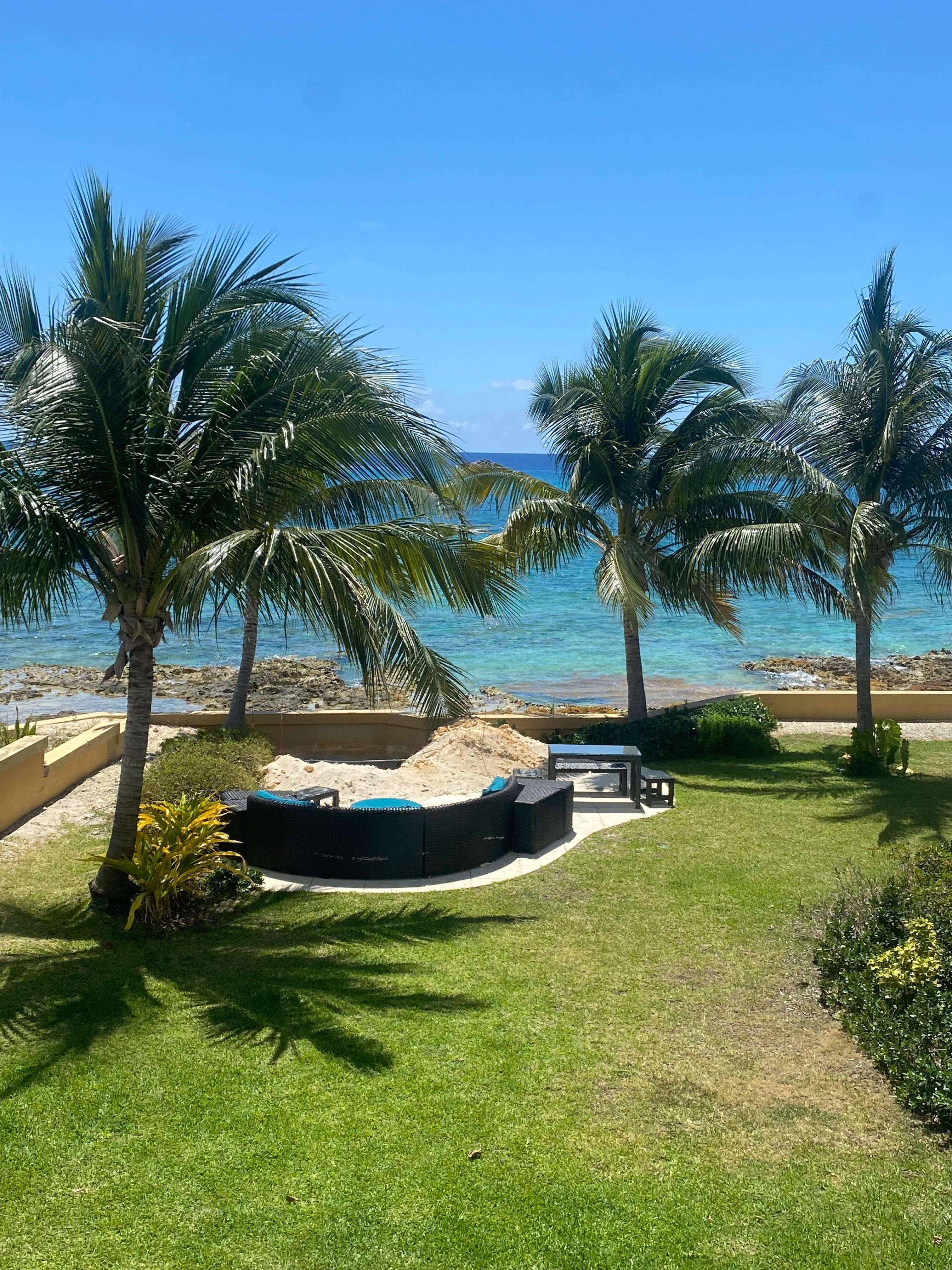 View from dining room.