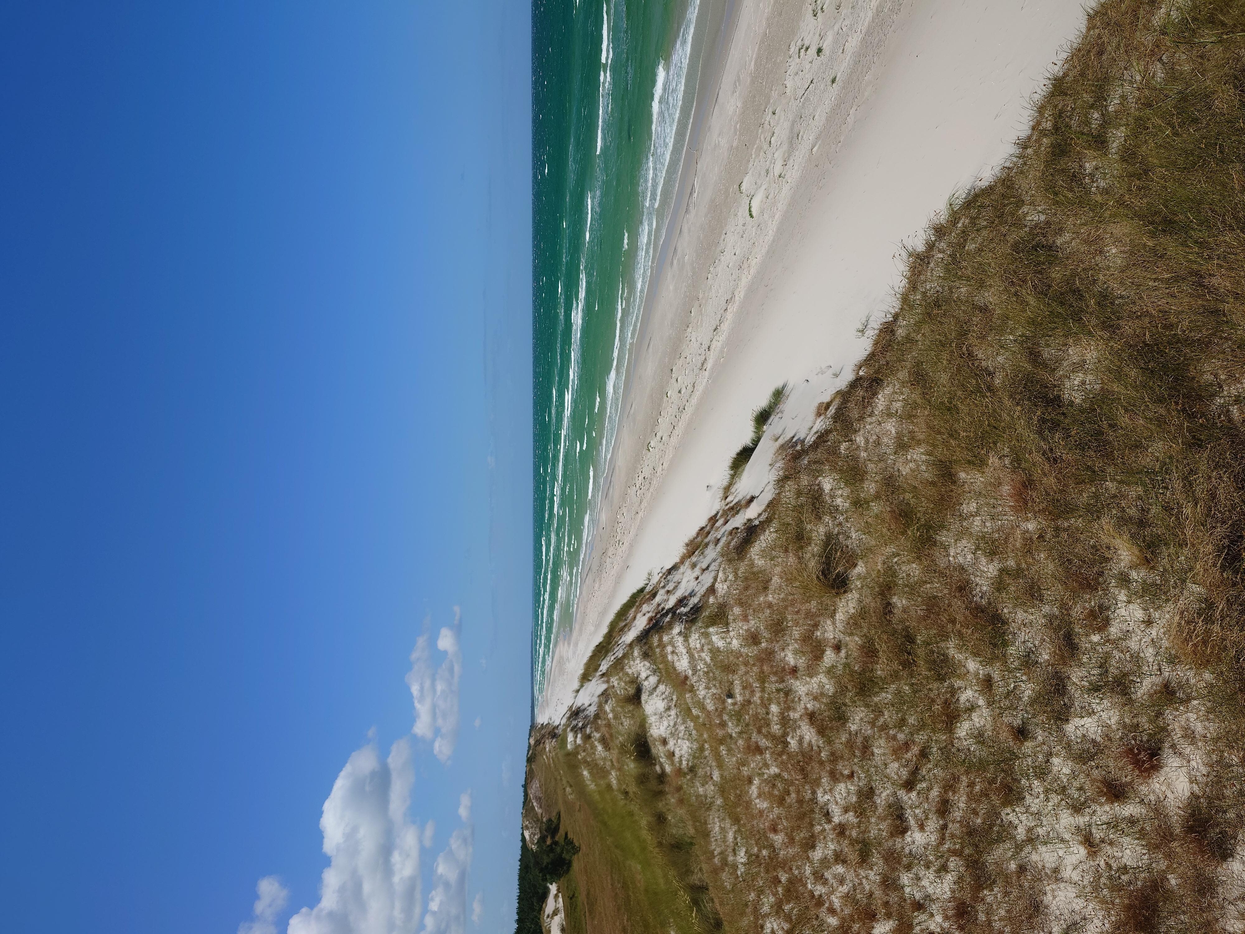 Naturschutzgebiet Zingst 