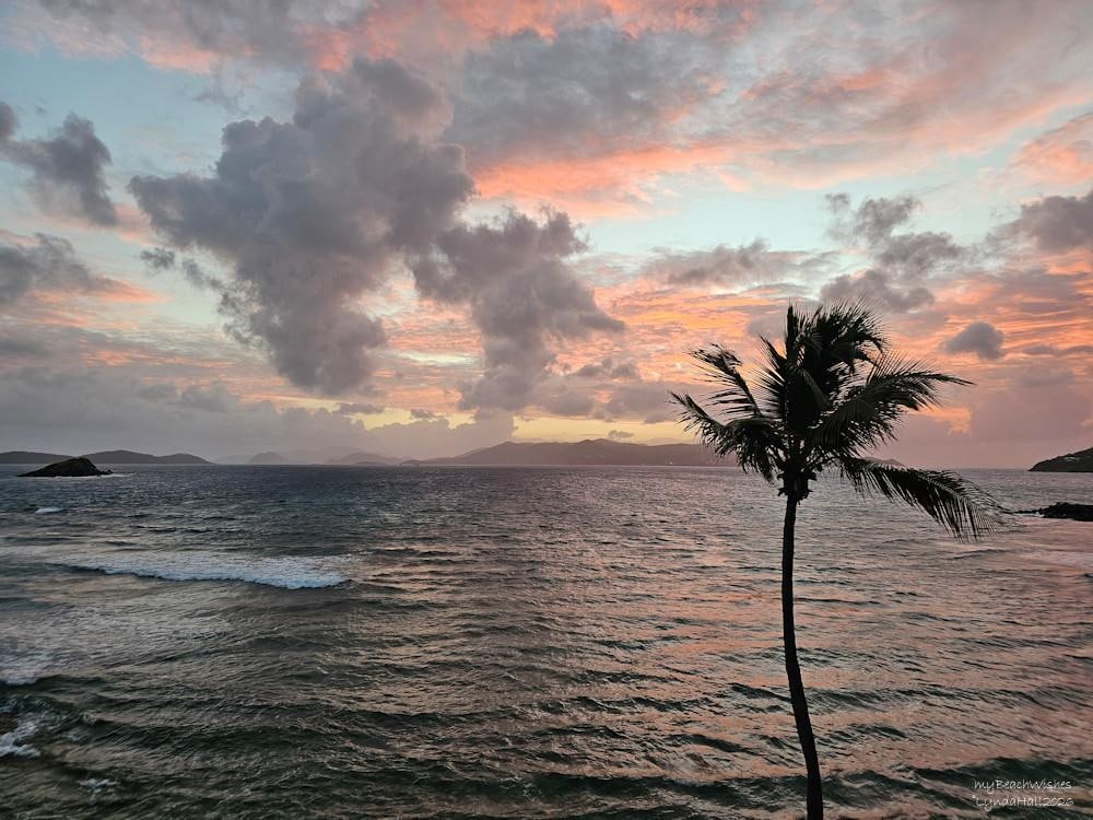 Balcony views of sunrise every morning!