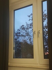 Selvom der er fly tæt på kan de næsten ikke høres