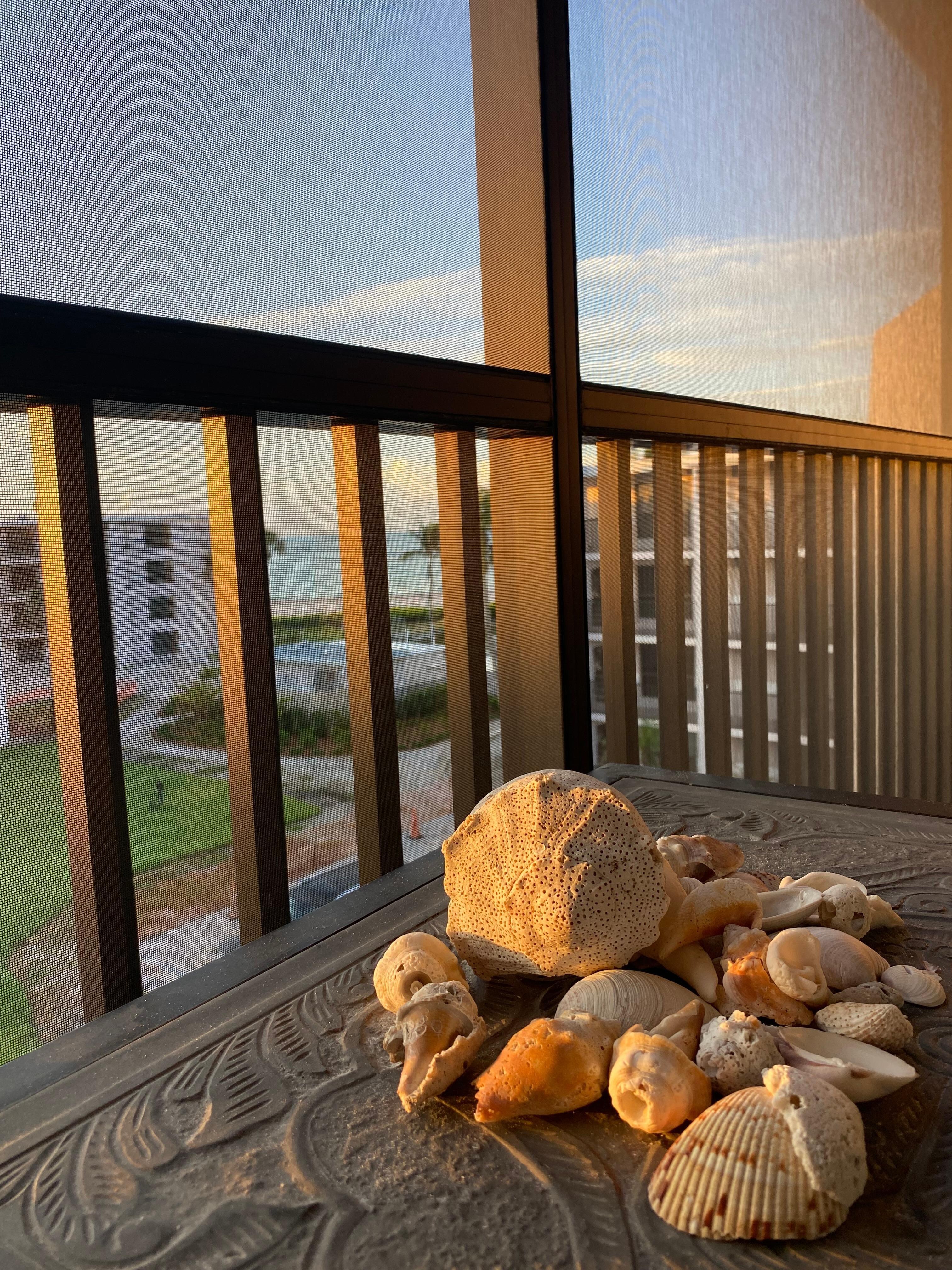 Sunrise