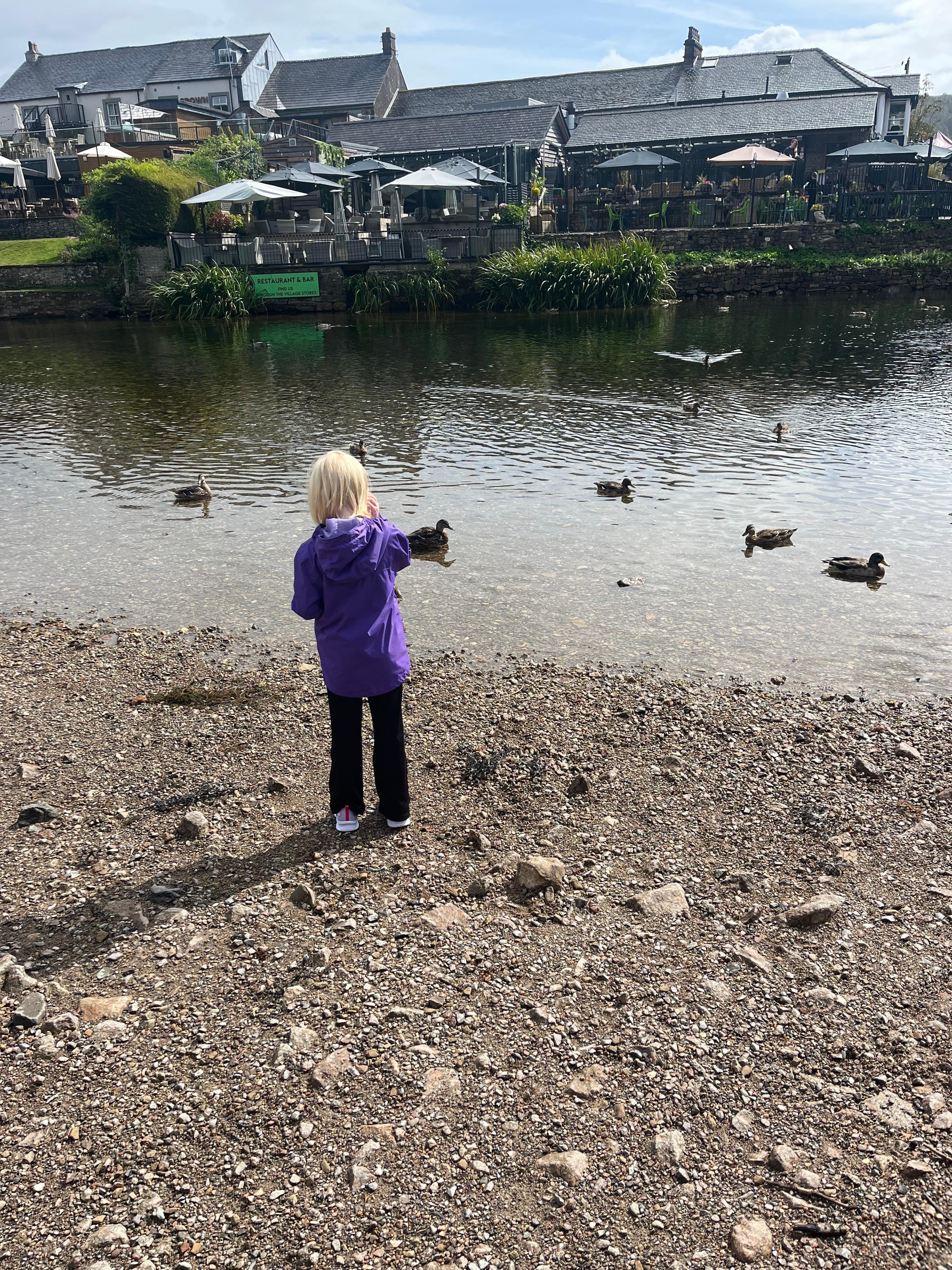 In nearby Pooley Bridge…