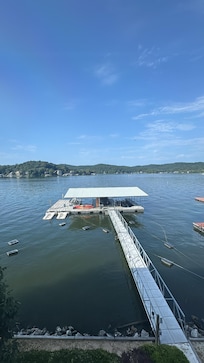 View of the dock from the house.
