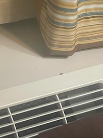 See a roach crawling on the a/c unit