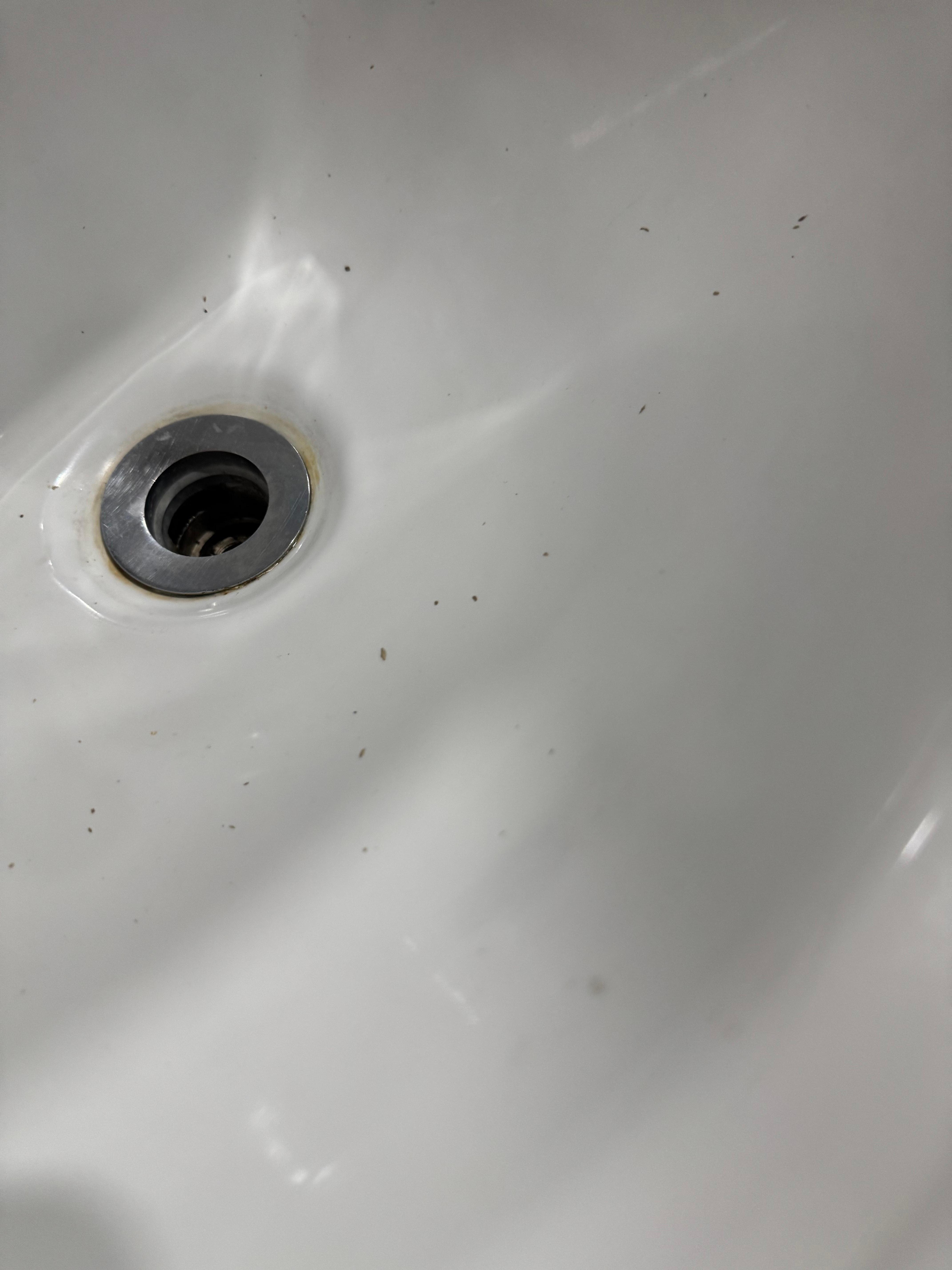 Crap in the sink. I don’t even want to know what 