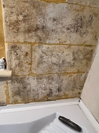 Wall