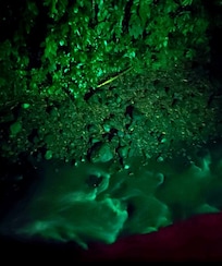 View from restaurant of lighted spring