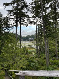 Our view from the bedroom window