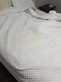 Guess bed upon entry