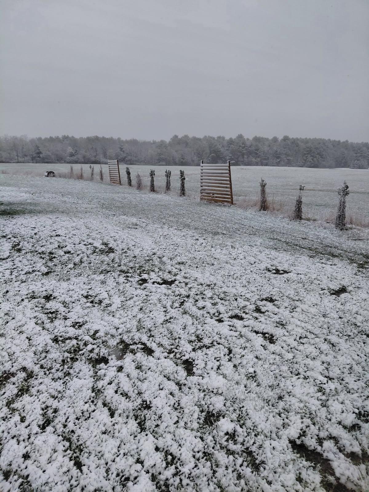 Snowy April 19th! 