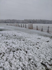 Snowy April 19th!