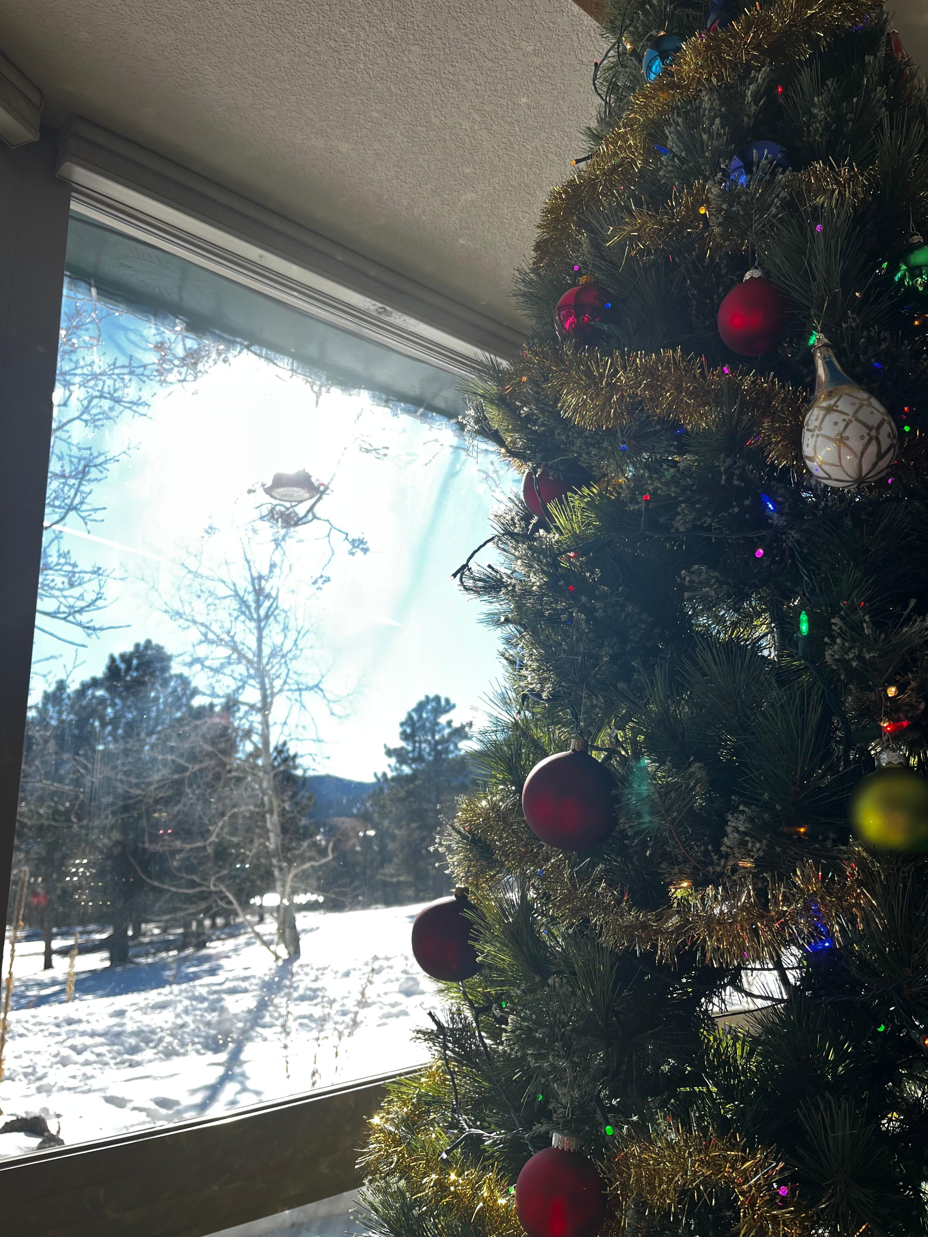 House decorated for the holidays. Blue Jays visiting the bird feeders. 