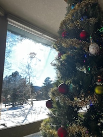 House decorated for the holidays. Blue Jays visiting the bird feeders.
