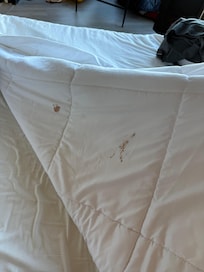 Large stains on the comforter