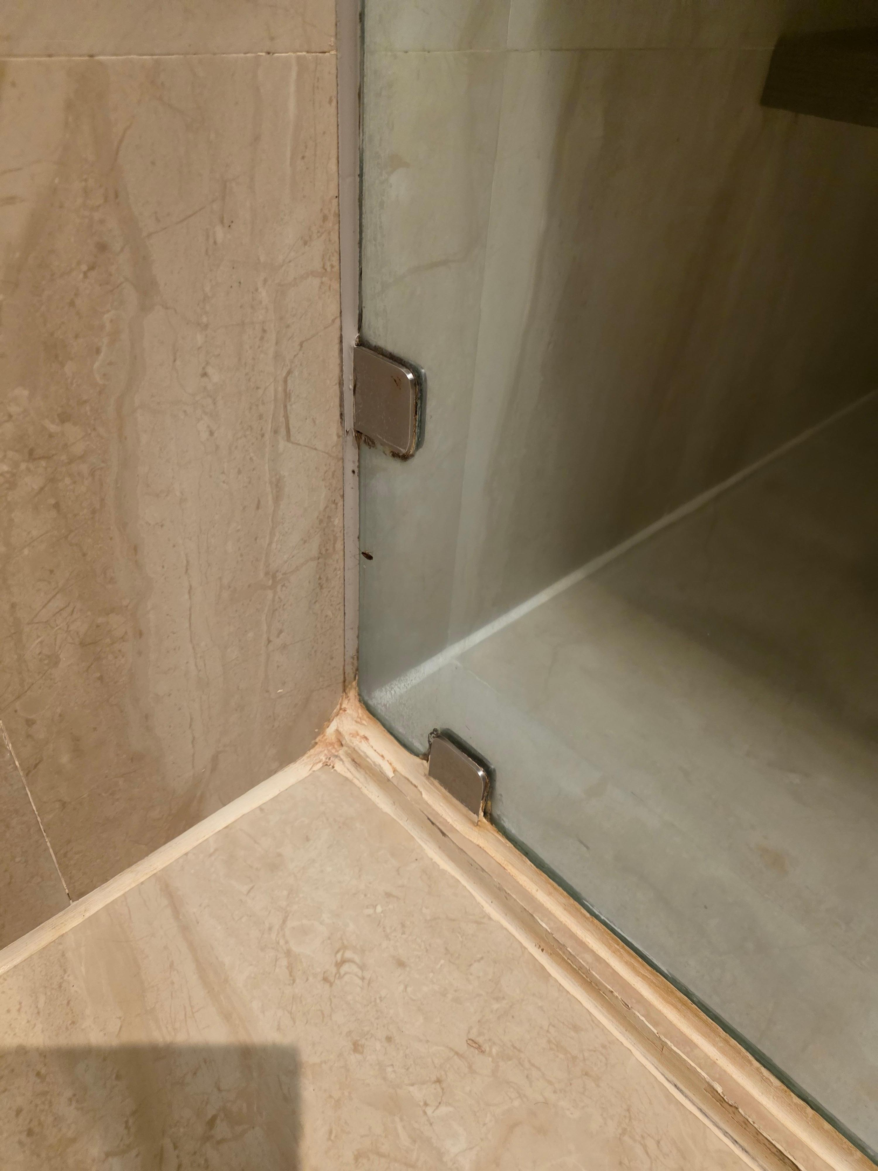 Cockroach in the bathroom