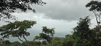 Rain