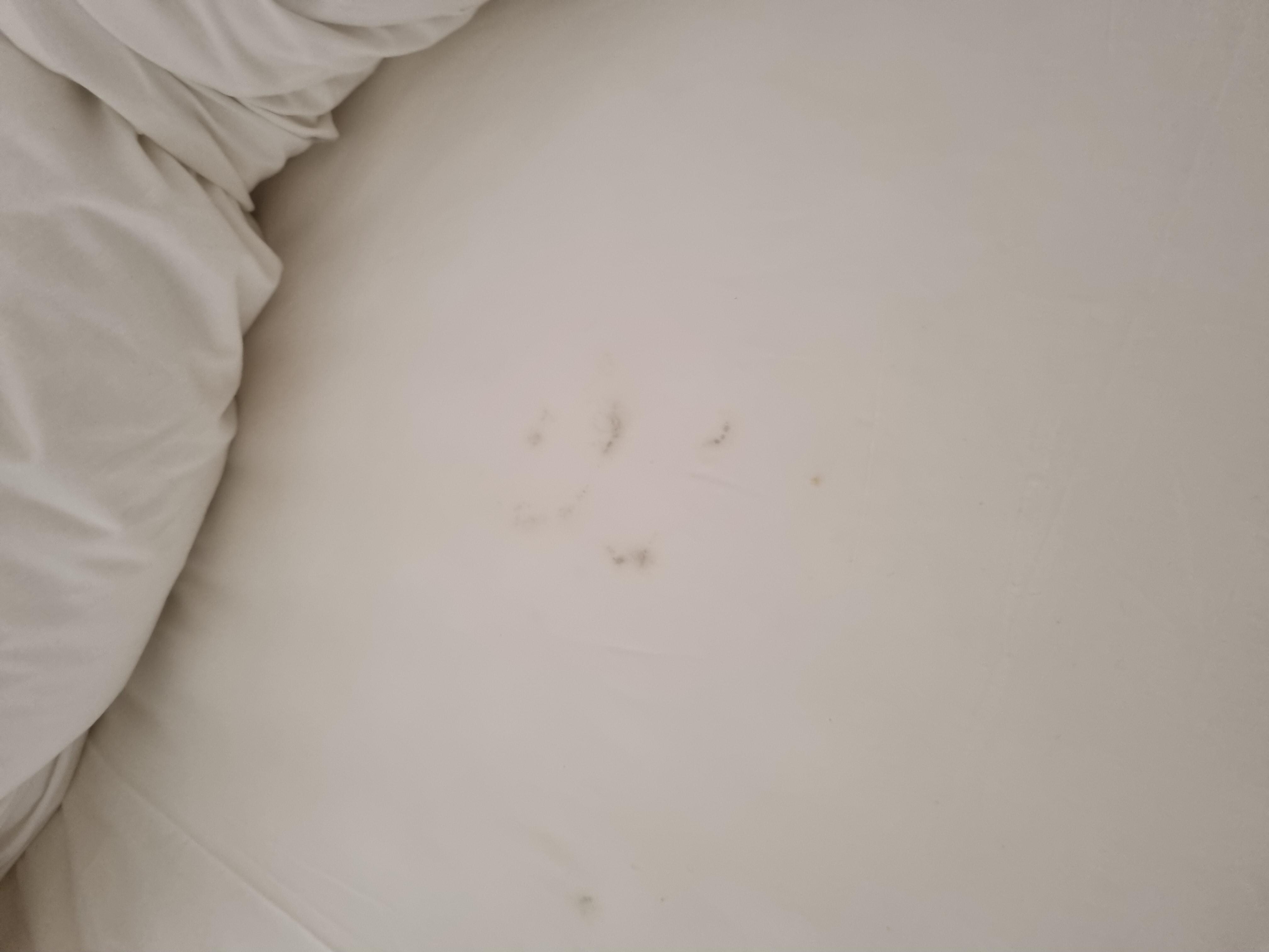 Bed sheet
