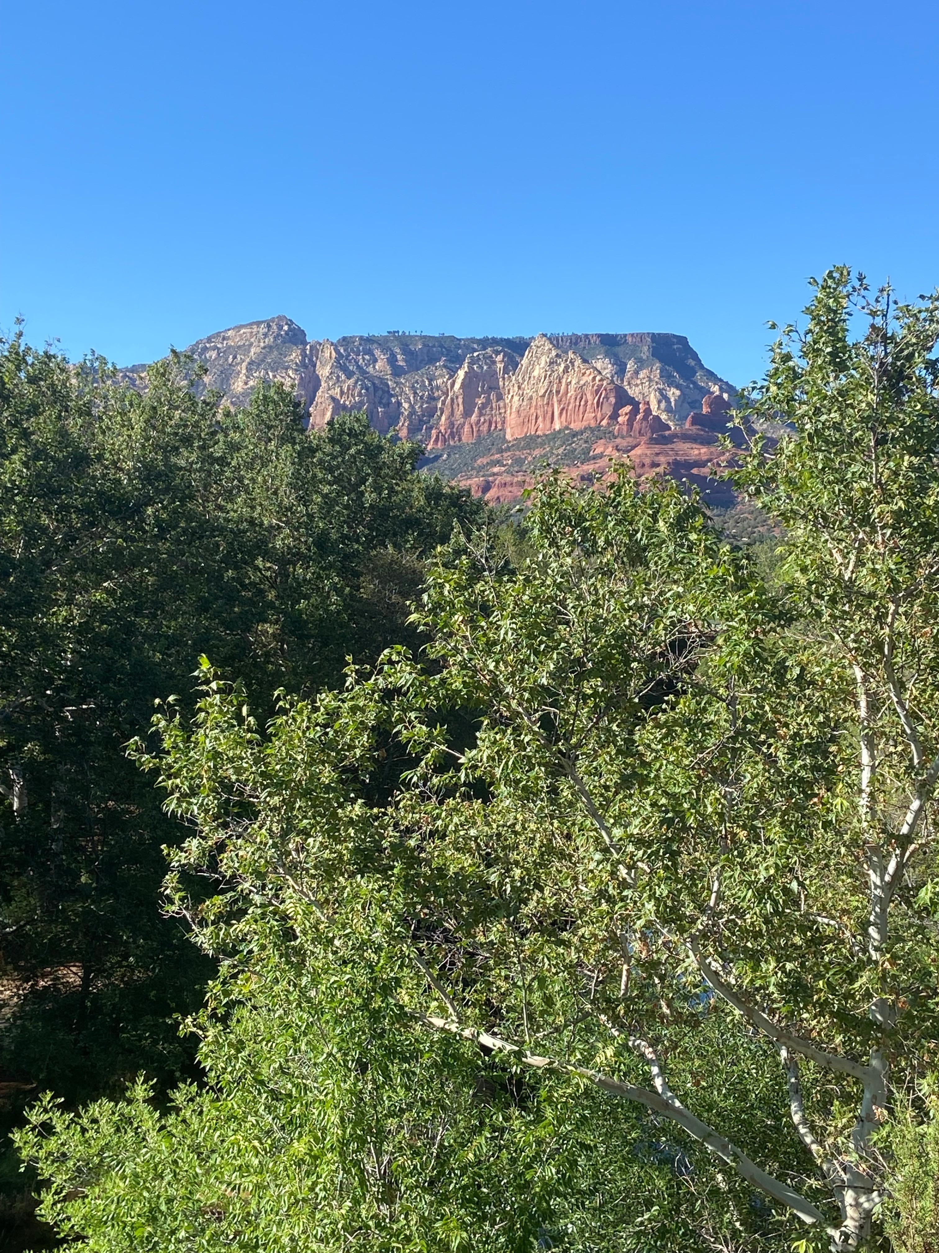 View from our room