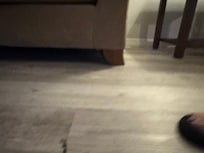 Broken end, dangerous, living room, floor trip hazard