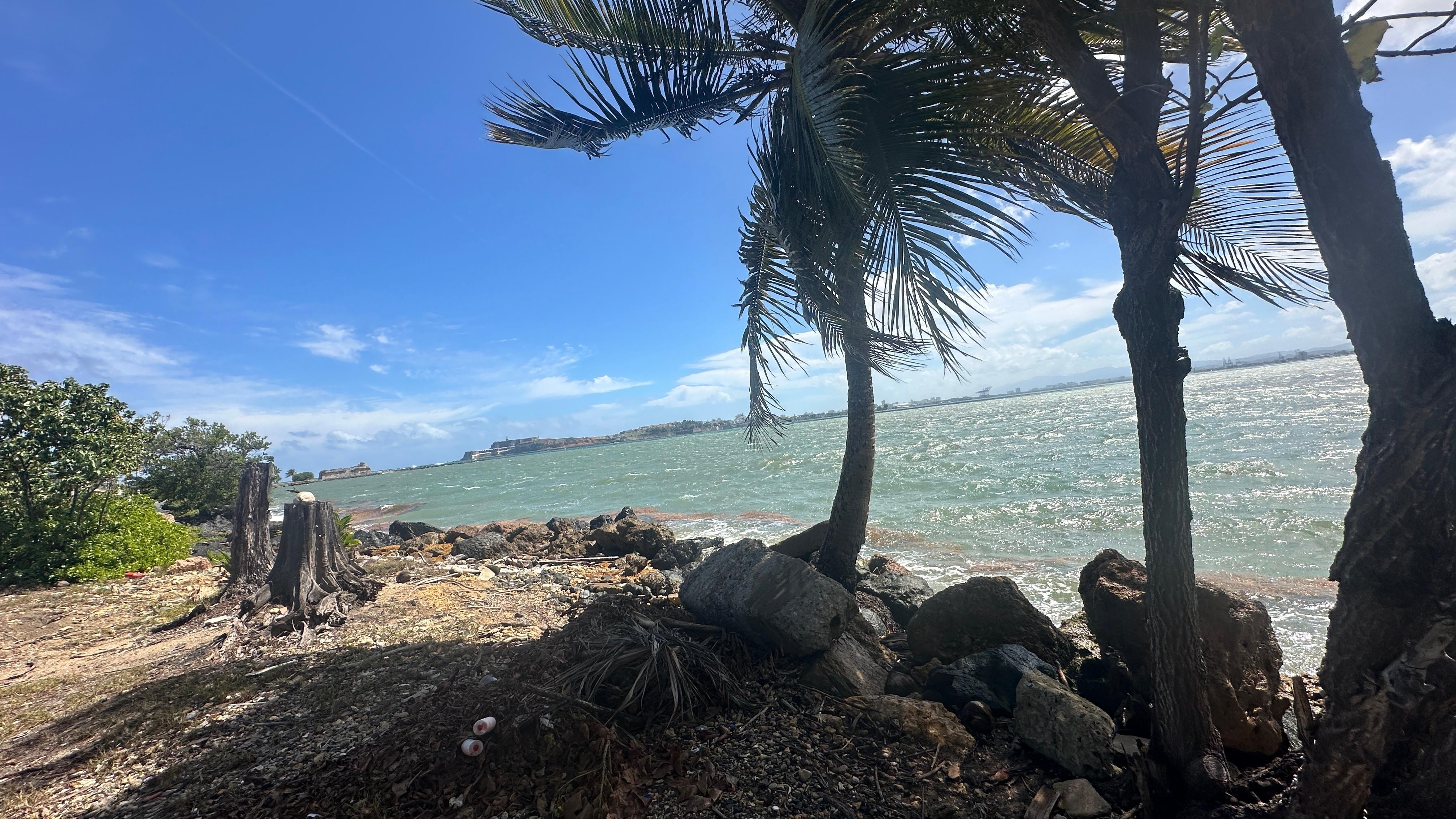 Aqua Restaurant View 