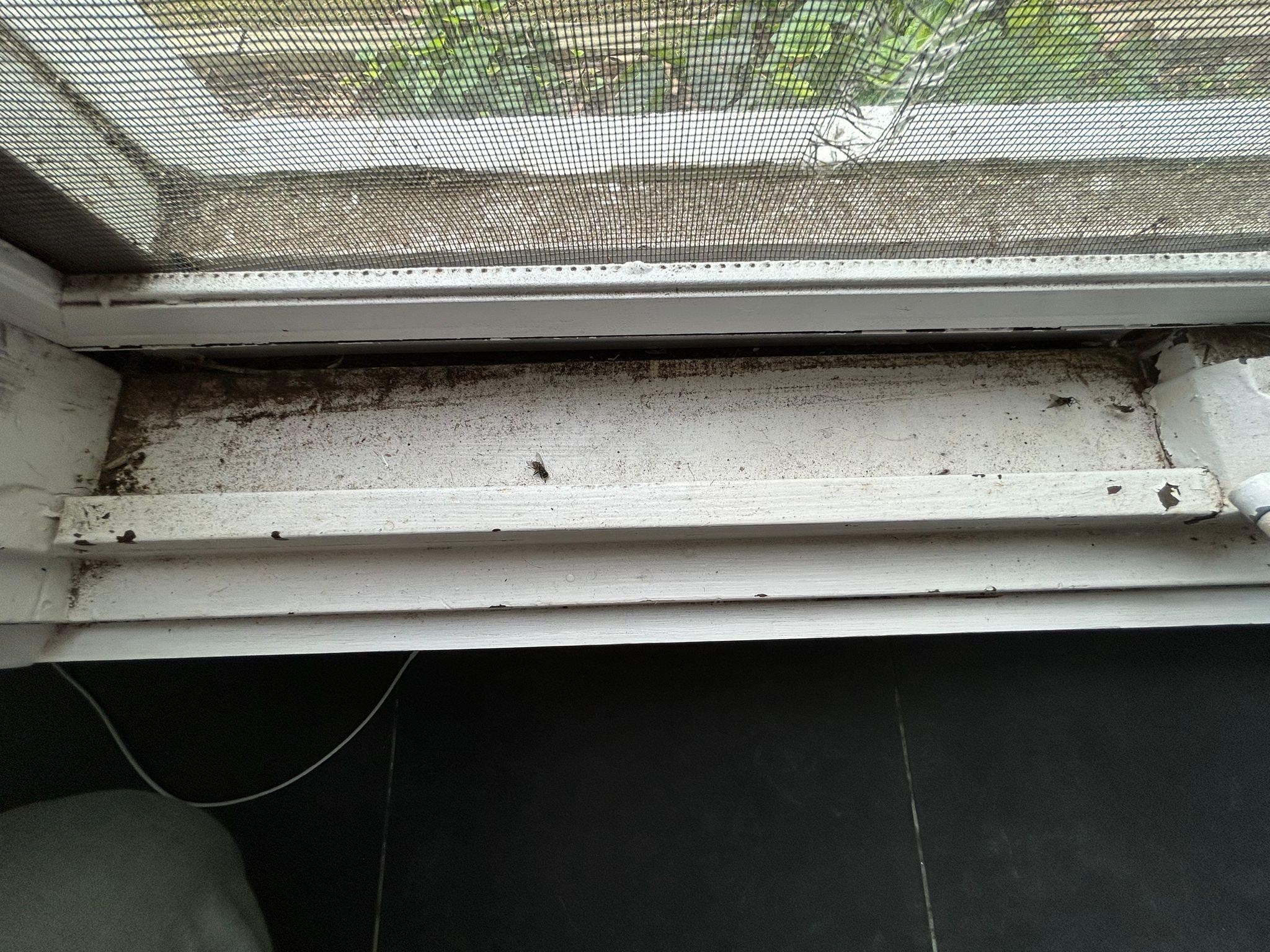 Windows need cleaning