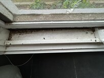 Windows need cleaning