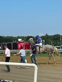 Saratoga Race Track Winner