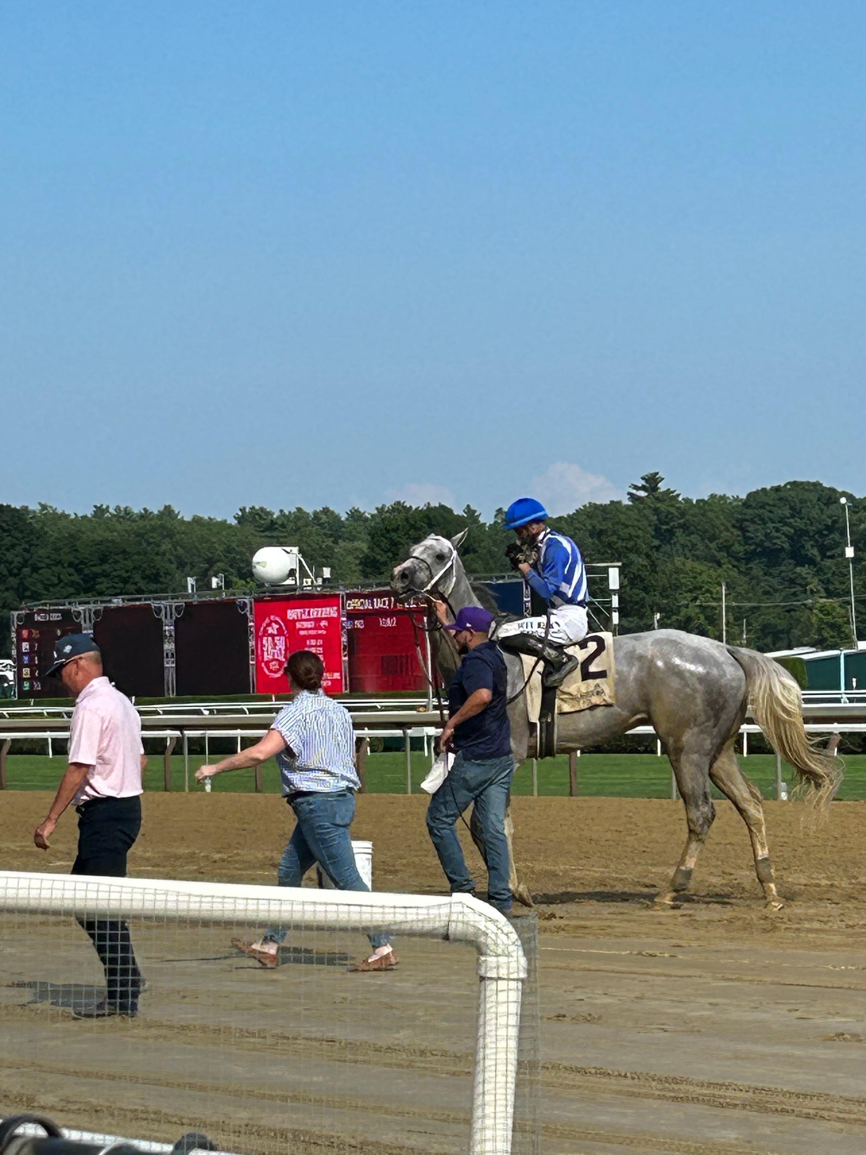 Saratoga Race Track Winner