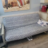 This the uncomfortable pullout sofa I was talking about