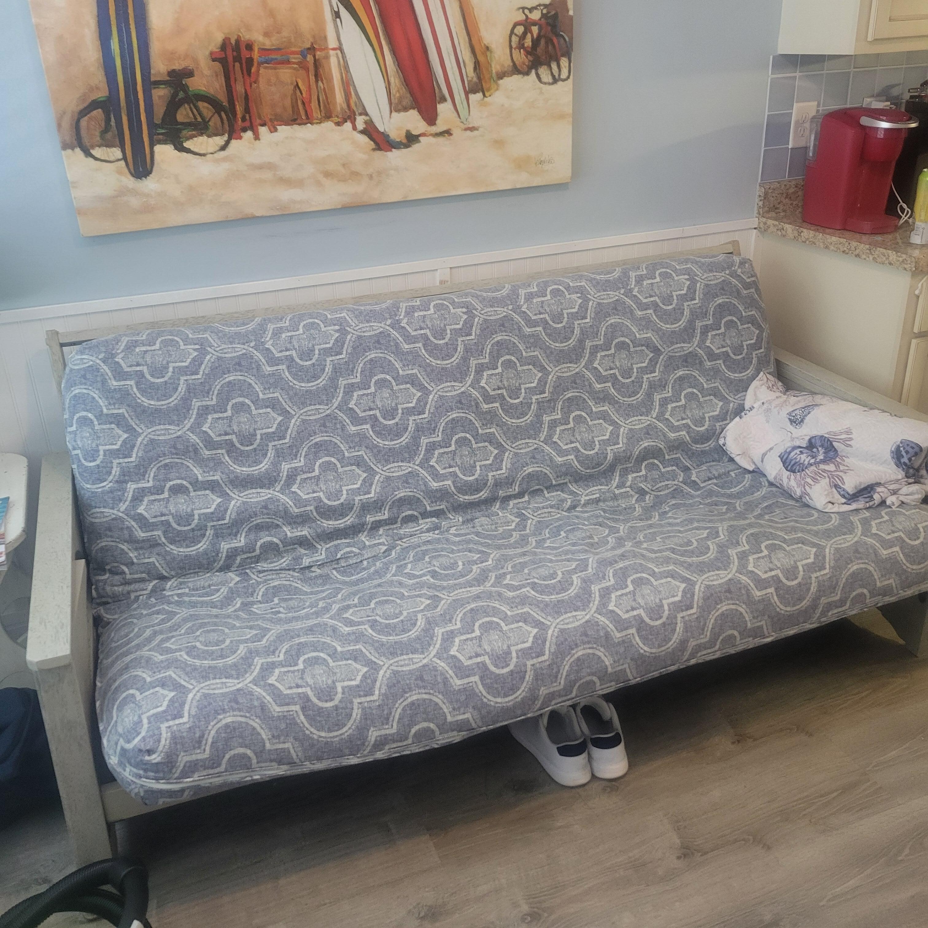 This the uncomfortable pullout sofa I was talking about 
